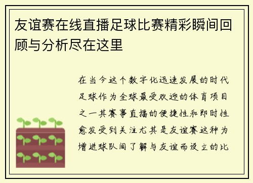 友谊赛在线直播足球比赛精彩瞬间回顾与分析尽在这里